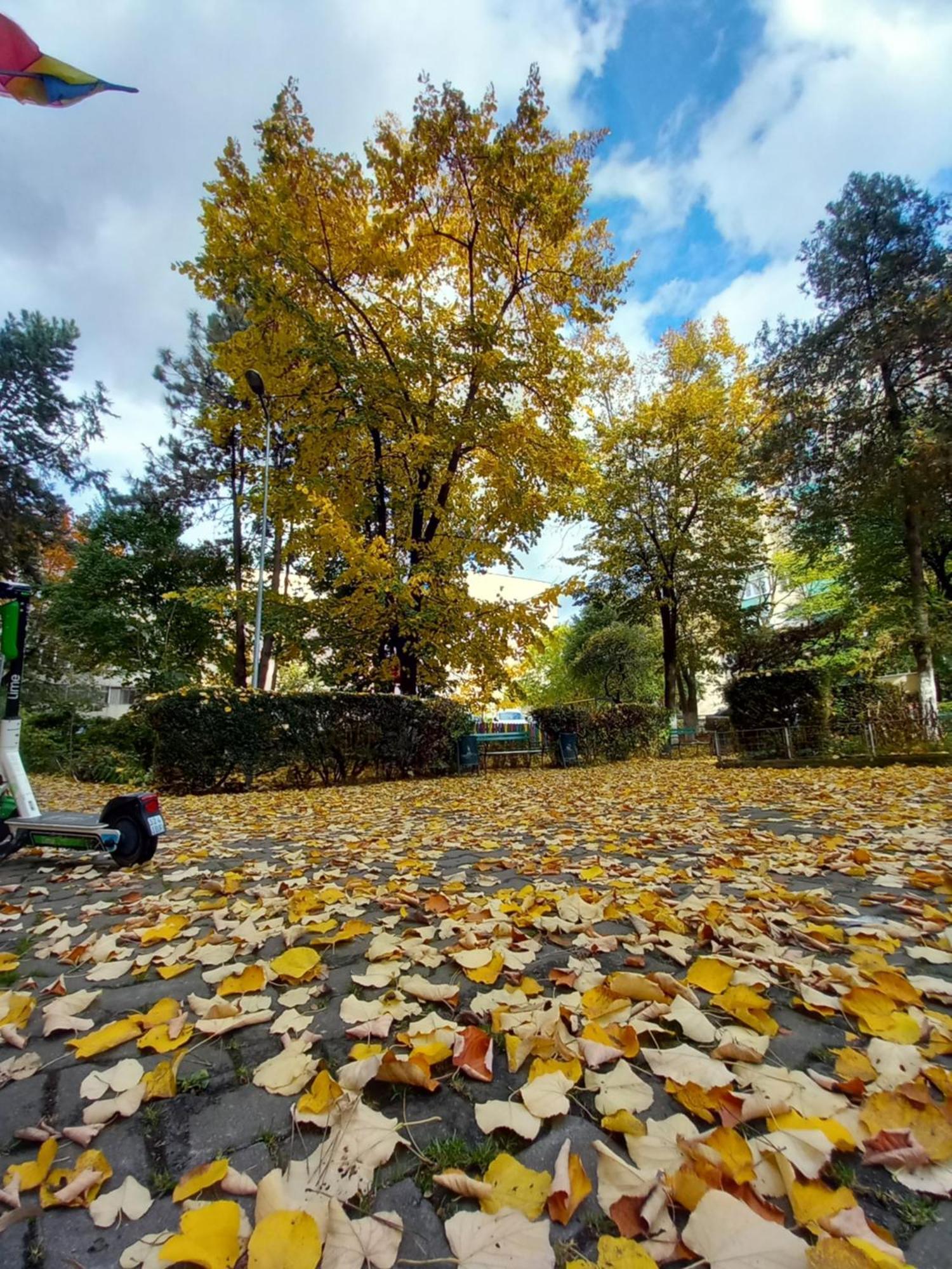 Apartament Dacia Târgu-Mureş Exterior foto